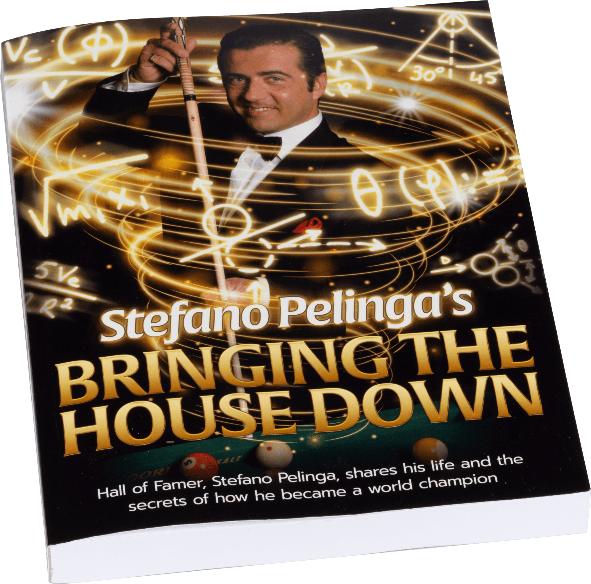 Stefano Pelinga's BKBTHD Bringing the House Down Book